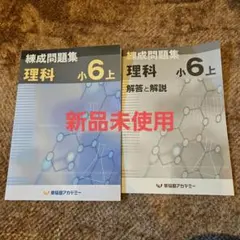 2026年最新】錬成問題集 小6の人気アイテム - メルカリ