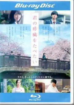 君の膵臓をたべたい【ブルーレイ】浜辺美波 北村匠海 矢本悠馬 北川景子 小栗 旬