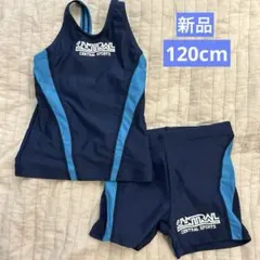 ⭐︎新品⭐︎セントラルスポーツ スクール水着 セパレート 140cm 