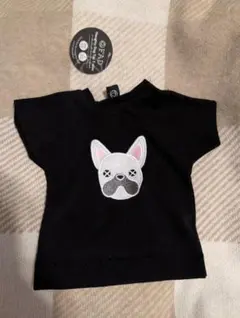 Item thumbnail for item dd849738-7661-40ab-9f41-7ef6357565ad