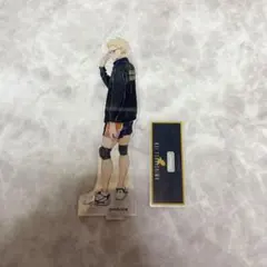 ハイキュー!! 月島蛍 アクリルスタンド Ani-art