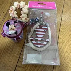 東京ディズニーリゾート キーホルダーセット