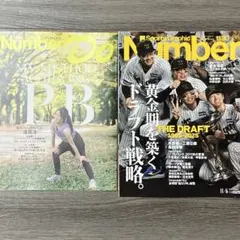 Item thumbnail for item 264835f9-bd1b-4c32-81d5-2ea78d6e5563