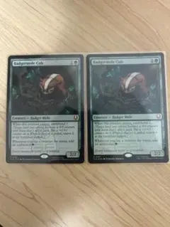 2026年最新】アナグマモグラの仔の人気アイテム - メルカリ