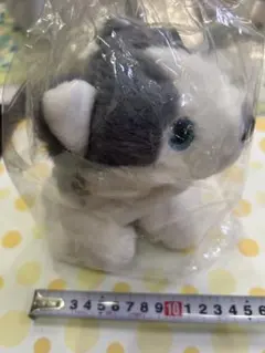 2026年最新】セコマ ぬいぐるみの人気アイテム - メルカリ
