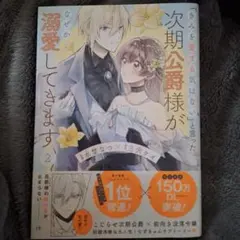 「きみを愛する気はない」と言った次期公爵様がなぜか溺愛してきます 2