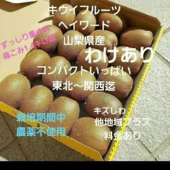 ❇️8キウイフルーツ　　わけあり　小玉　箱いっぱい　コンパクト　山梨県産