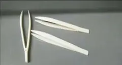 Item thumbnail for item cb42862f-7757-47b6-910d-1362e7985e1a