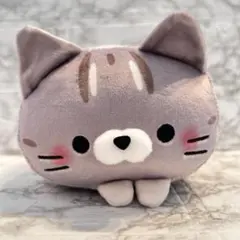 もちふわ！ ころころにゃんこ　八重山 石垣島 限定　いりおもてやまねこにゃんのサムネイル