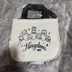 【新品未開封】三代目JSB KINGDOM キャラクター 保冷バッグ