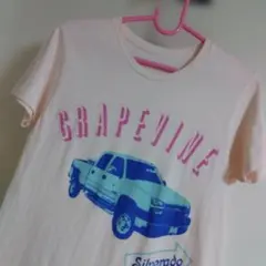 Item thumbnail for item 02af43a0-d179-4bdb-9ce6-cd0e291b85d8