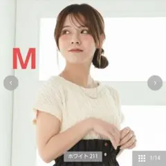 Item thumbnail for item 493562ee-c5c0-4e1d-b6b2-186d051a6d88