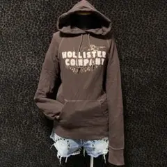 Y2K Hollister パーカー ロゴドン 立体ロゴ ダメージ加工 CE77