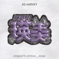 【即日発送】XG xg ハーヴィー ハーヴィー瑛美 ぷっくりネームボード ネムボ