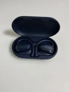 Soundcore 무선 이어폰 본체