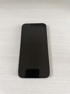 Apple iPhone 12 Pro パシフィックブルー 本体