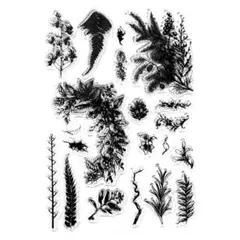 クリアスタンプ2369：Botanical Sketch《3点で20％OFF》