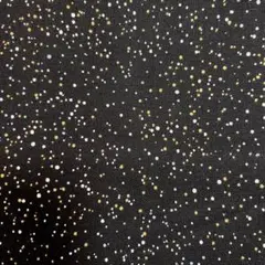 輸入生地　夜空　ブラック　ロバートカフマン