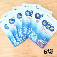 乳酸菌 300億個 エポラ乳酸菌 60粒 × 6袋 セット ミドリ酵素 - メルカリ