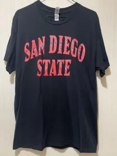 古着 GILDAN ギルダン SANDIEGO プリントTシャツ　海外