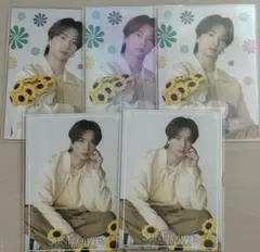 木村慧人 Sunflower フォトカ