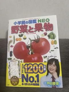 小学館の図鑑　NEO　野菜と果物　ネオ