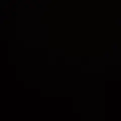 ますのおすし様専用