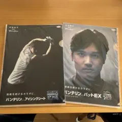 バンテリン 大谷翔平クリアファイルのサムネイル
