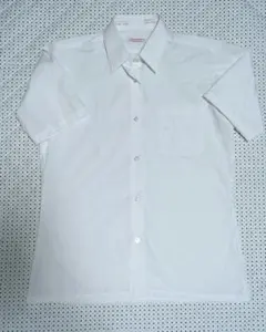 Item thumbnail for item 69be9fe7-232b-487b-a2ce-b9939bb1c6e1