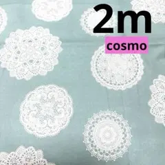 ★cosmo★3枚限り★ドイリーレース★ミント★