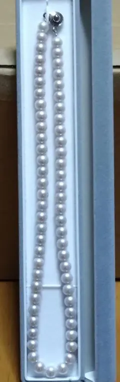 Item thumbnail for item cfb1b17f-adb0-4d3c-b703-38860e9a4f4b