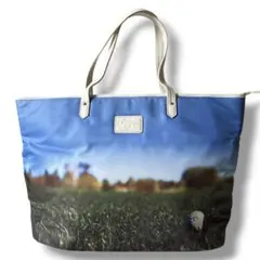 Item thumbnail for item 3238314c-3ee9-419f-893a-80211d48a34b