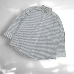 エルエルビーンLLBEAN ボタンダウンシャツ 長袖春物　ストライプL（C3