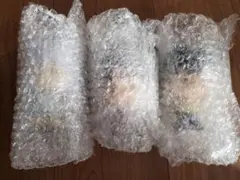 一番くじ 幽遊白書 暗黒武術会編 vol.3 F賞SOFVICちゅ 3種