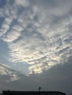 りあぐちゃ様専用ページ