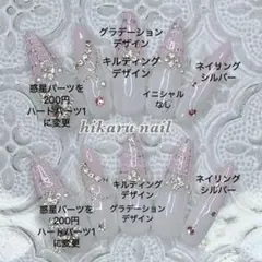 hikaru Nail　(プロフ必読)様専用