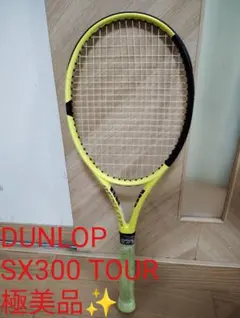 2026年最新】sx300 tourの人気アイテム - メルカリ