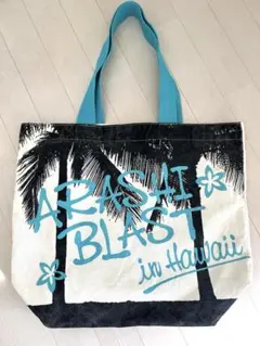 Item thumbnail for item 22f493af-5686-4d3a-9c7f-adc83a8d0b6a