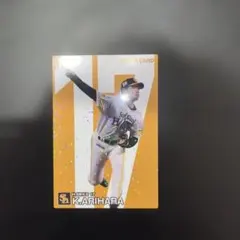 有原航平　プロ野球選手チップス　カード