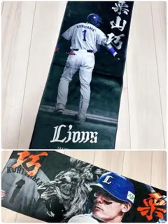 Item thumbnail for item 55bcf277-e962-428b-87e3-e8fddb381c41