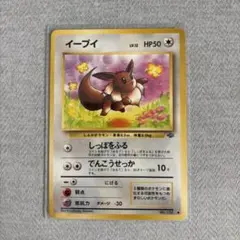 イーブイ ● 第2弾拡張パック ポケモンジャングル