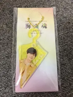 2026年最新】梅雨魂 アクキーの人気アイテム - メルカリ