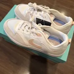 (最終値下げ)NIKE SB ウィメンズ アリウープ CQ0369-101