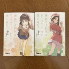 青春ブタ野郎シリーズ 2冊セット 12・13巻