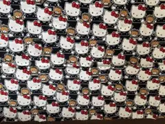 Item thumbnail for item ccbc8d5f-cf9b-400e-a338-3def0e9e70ea