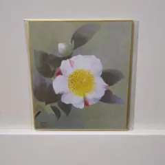 【お値下げしました】松本勝 椿 色紙(印刷)