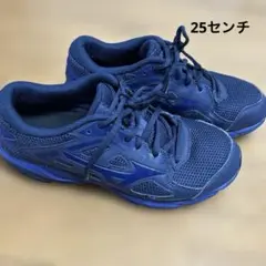 Mizuno ネイビー ランニングシューズ　25センチ
