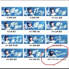 北海道日本ハムファイターズ　FAV限定 メッセージタオル　レイエス