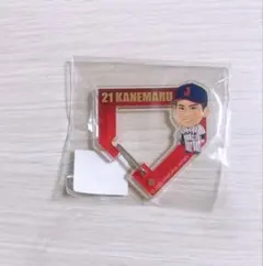 侍ジャパン 金丸