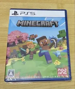 Minecraft PS5版